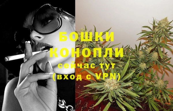 шишки Алзамай