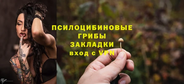прущий лед Алексин