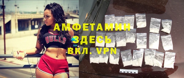 шишки Алзамай