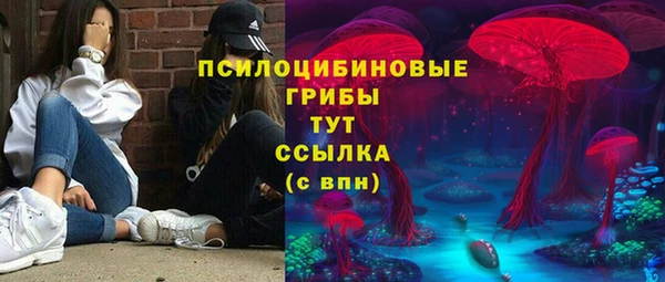 spice Абаза