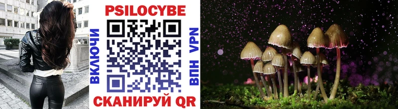 Псилоцибиновые грибы Cubensis  Константиновск 
